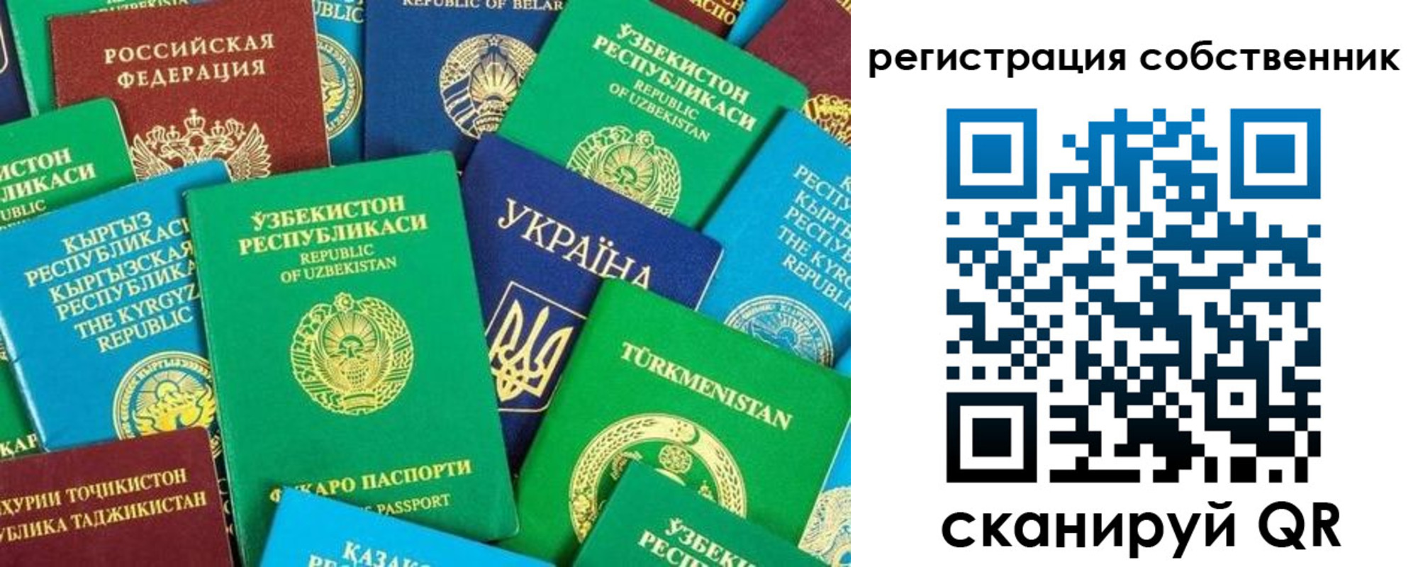 прописка в Белёве